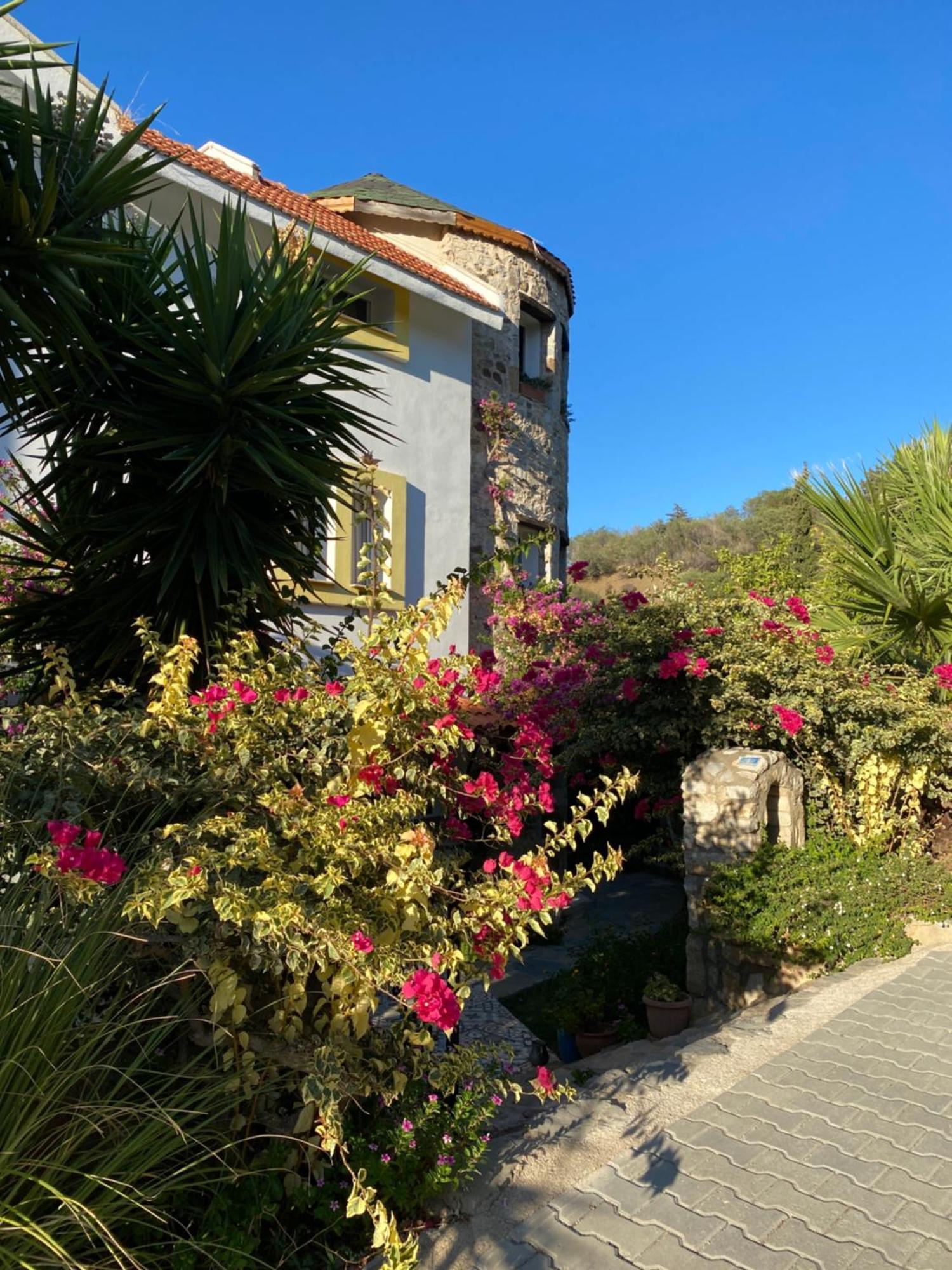 Hotel Villa Tokur Датча Екстериор снимка