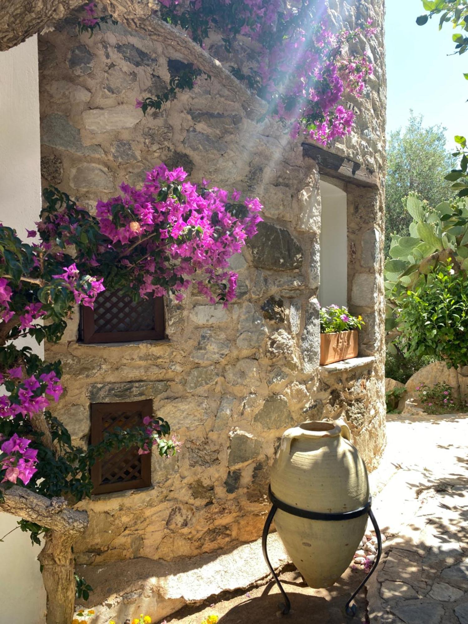 Hotel Villa Tokur Датча Екстериор снимка