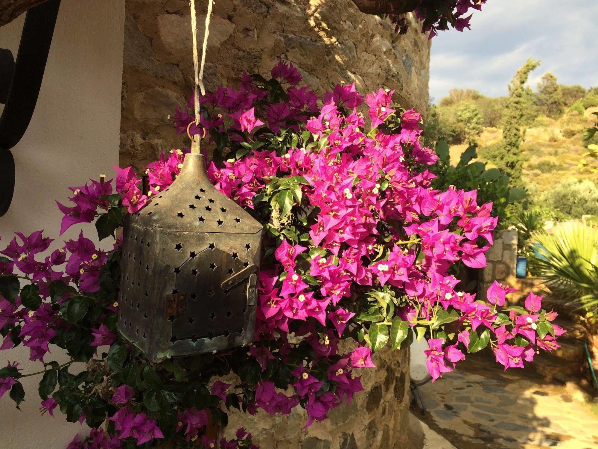Hotel Villa Tokur Датча Екстериор снимка